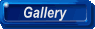 Photo Gallery